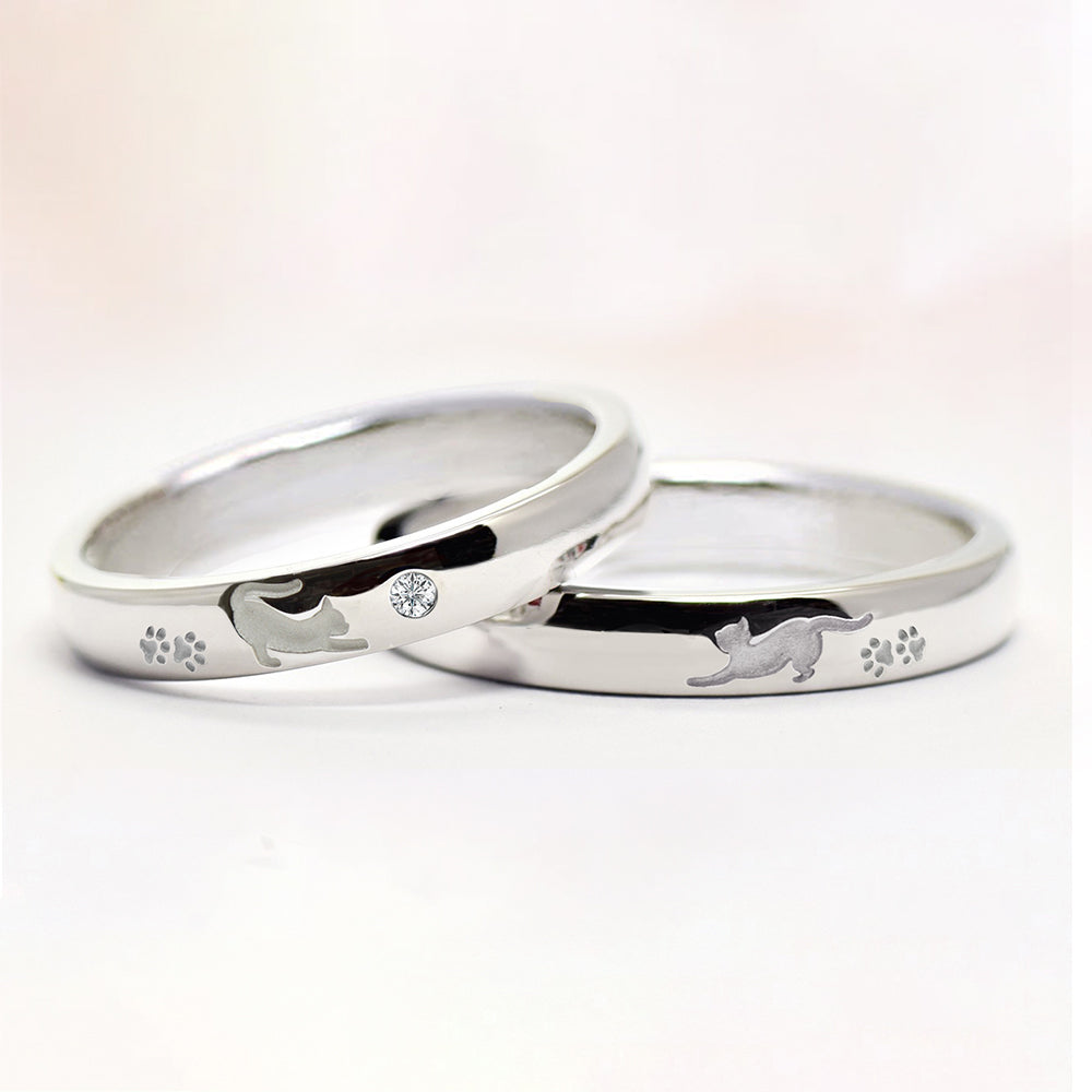 伸びする猫のペアリング