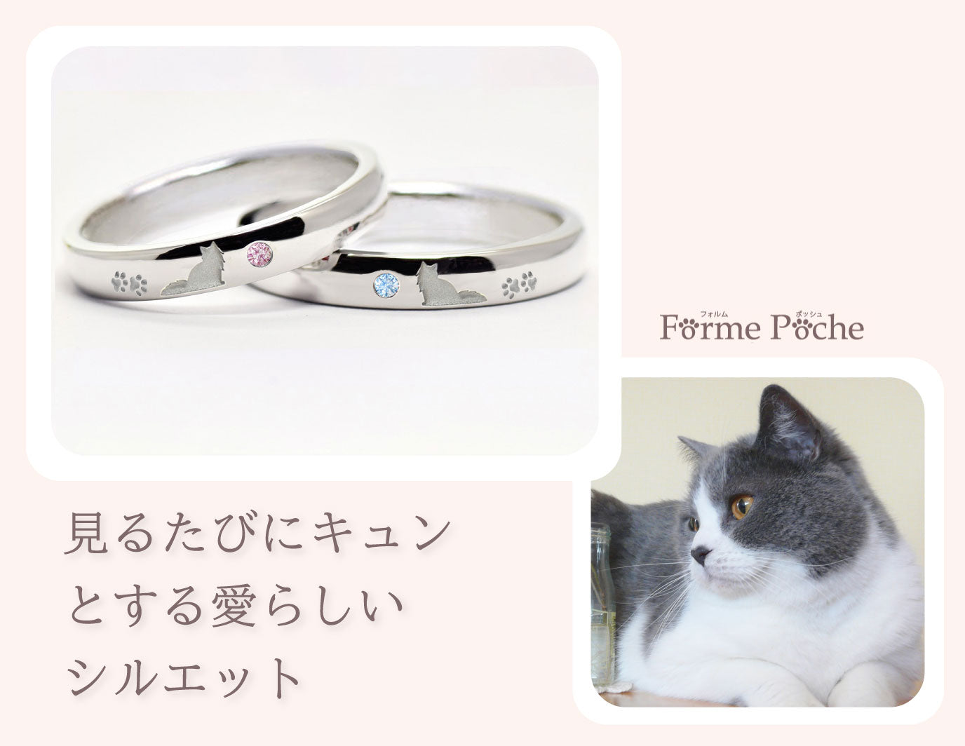 長毛猫のペアリング