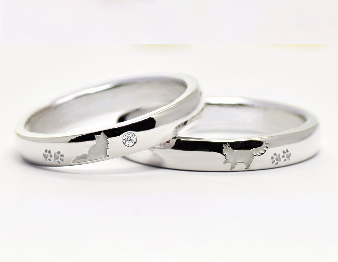 長毛猫のペアリング