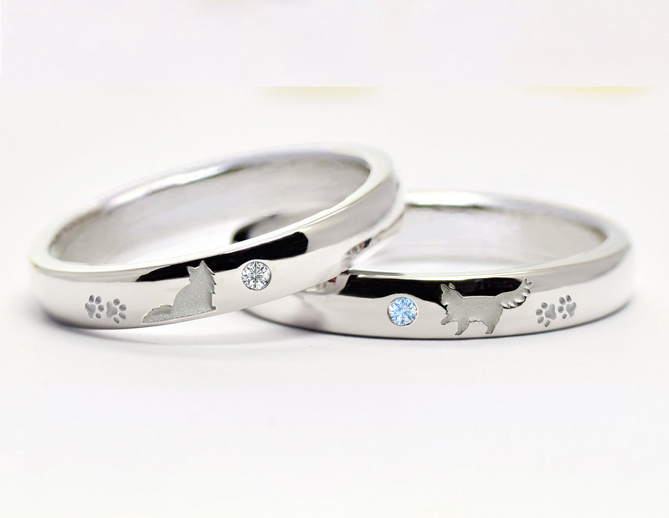 長毛猫のペアリング