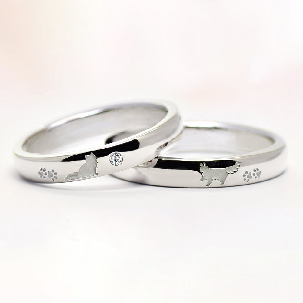 長毛猫のペアリング