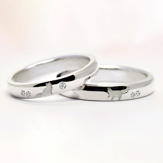 長毛猫のペアリング